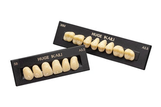 HUGE TEETH SET Buy Dental products Online DentalMyntra