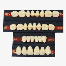 Premadent Teeth Set Cross Linked Acrylic Teeth Buy Dental products Online DentalMyntra