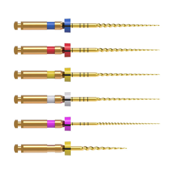 PROTAPER GOLD ROTARY PRO FILES SX